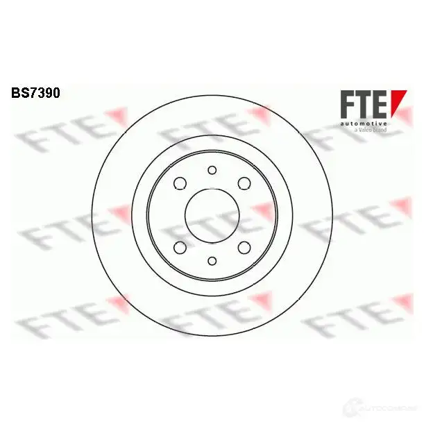 Тормозной диск FTE 5B5ZZ FQ 607802 4028569698960 BS7390 изображение 0