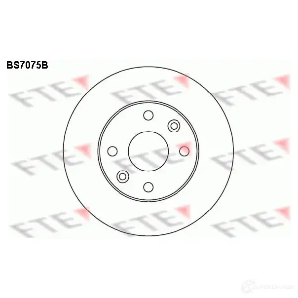 Тормозной диск FTE BS7075B 4028569695495 W1 JGQ02 607258 изображение 0