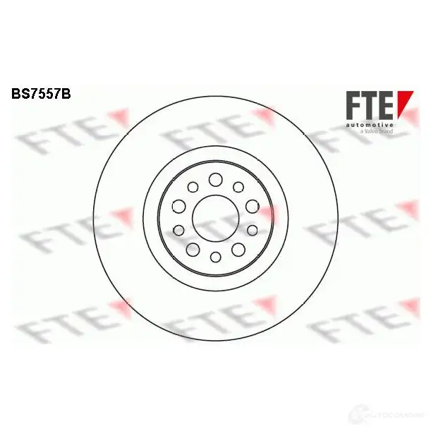 Тормозной диск FTE 608038 8 5RODM 4028569702247 BS7557B