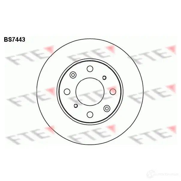 Тормозной диск FTE BS7443 313 HM 607878 4028569700014 изображение 0