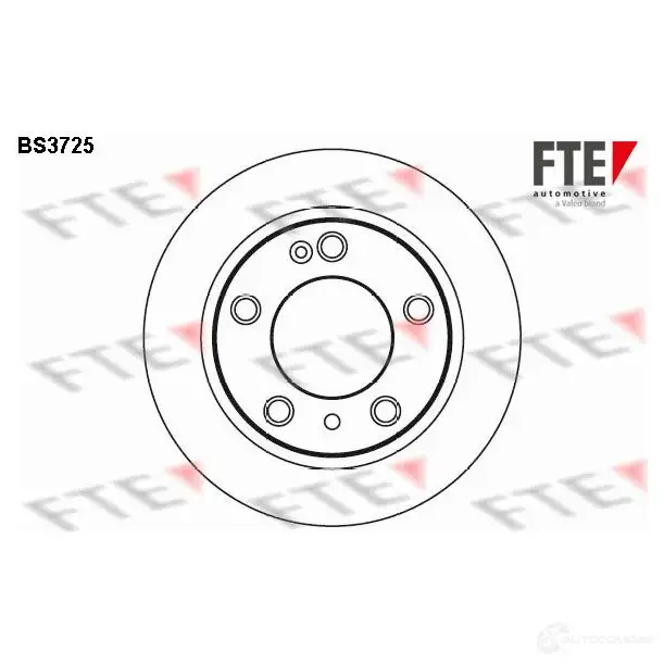 Тормозной диск FTE 12C9 Z 4028569031156 606250 BS3725 изображение 0