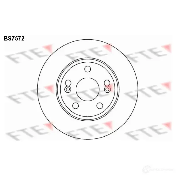 Тормозной диск FTE BS7572 PJ U61 4028569702537 608066 изображение 0