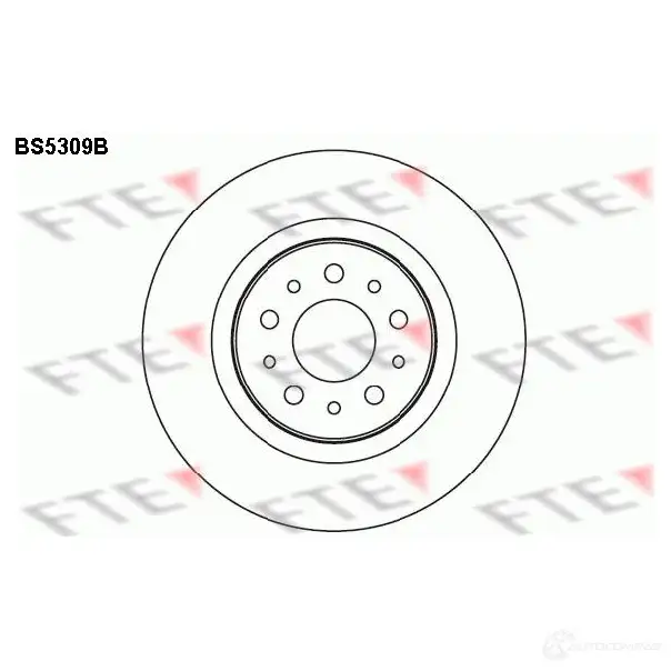Тормозной диск FTE 606928 4028569693859 2P QOHR BS5309B