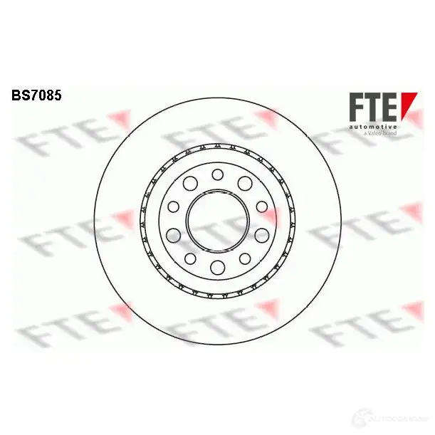 Тормозной диск FTE 4028569452203 MQ P1M BS7085 607278 изображение 0