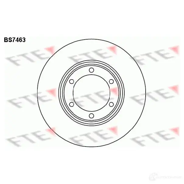 Тормозной диск FTE 4028569700403 607895 BS7463 6EO V6S изображение 0