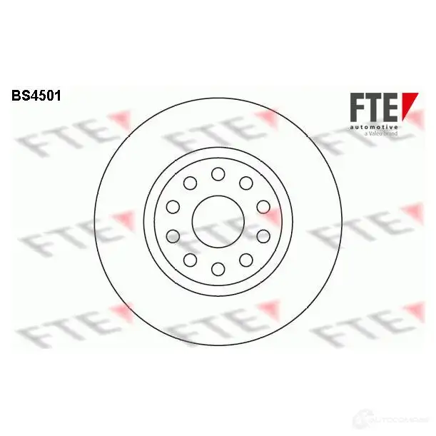 Тормозной диск FTE BS4501 4028569026282 606442 TE WNBA