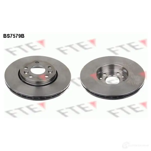 Тормозной диск FTE 4028569702674 BS7579B 608076 E Q8BOY изображение 0
