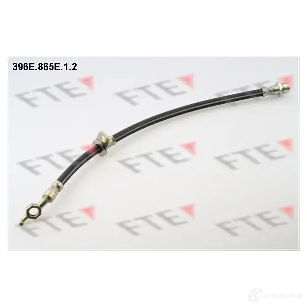 Тормозной шланг FTE 4028569456843 396E.865E.1.2 R4R WDX1 603116