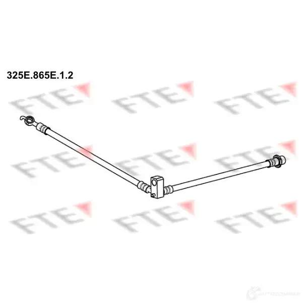 Тормозной шланг FTE 325E.865E.1.2 O9PG C1 602939 4028569675848