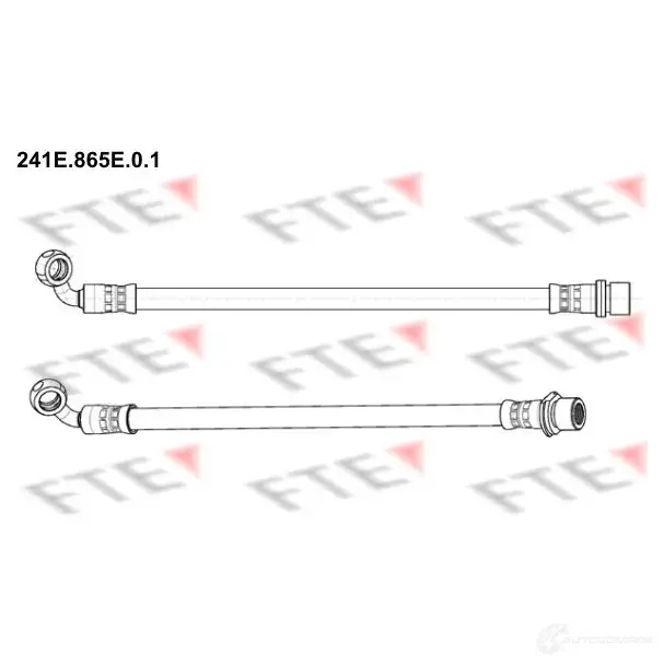 Тормозной шланг FTE 4028569726366 IZG845 2 241E.865E.0.1 602678