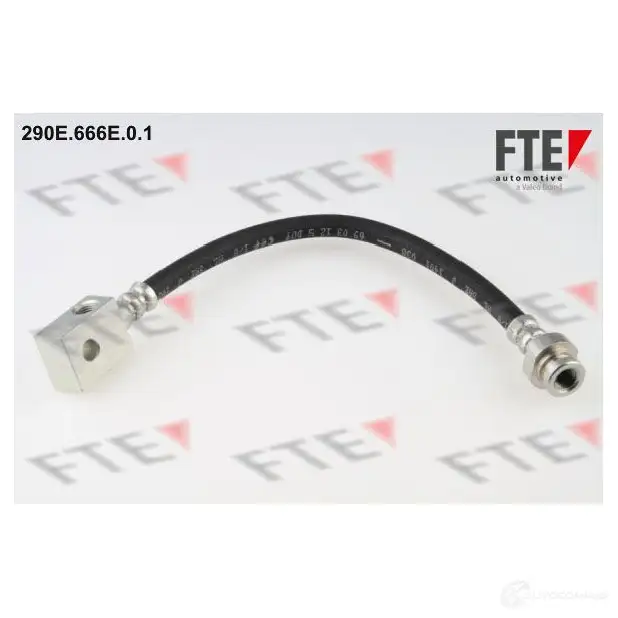 Тормозной шланг FTE 602824 290E.666E.0.1 UQVI R 4028569453873