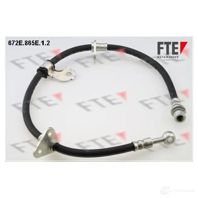 Тормозной шланг FTE 672E.865E.1.2 603637 4028569454146 LB WPE