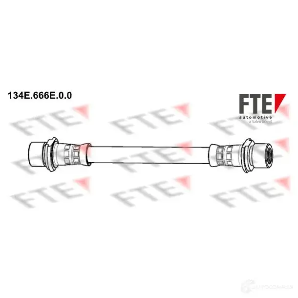 Тормозной шланг FTE 4028569723228 134E.666E.0.0 KFW LX 602503