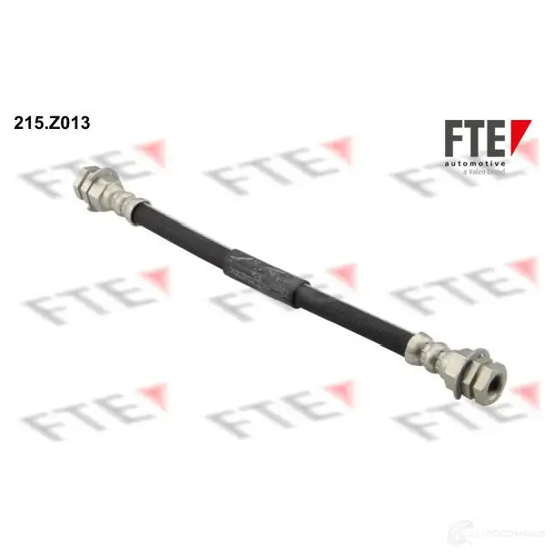 Тормозной шланг FTE I FOTQ 602613 4028569293530 215z013