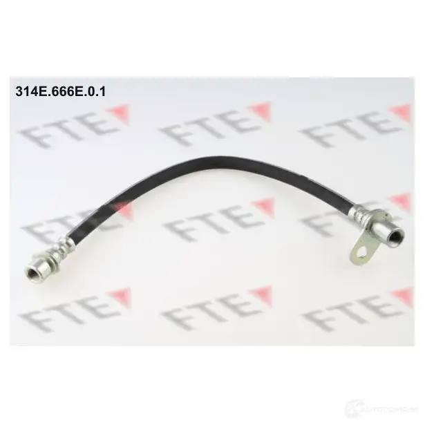 Тормозной шланг FTE 314E.666E.0.1 602892 R2 5XS 4028569455006
