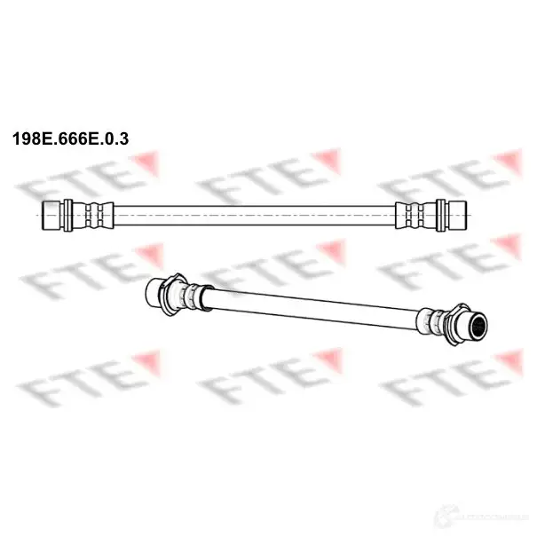 Тормозной шланг FTE 602572 Z5JWKD M 4028569744056 198E.666E.0.3