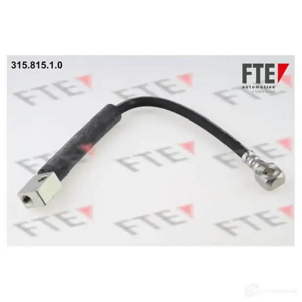 Тормозной шланг FTE 315.815.1.0 4028569272498 602900 Y TG8L