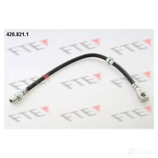 Тормозной шланг FTE 420.821.1 4028569368900 603200 H66YN 4
