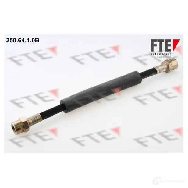 Тормозной шланг FTE 250.64.1.0B 602697 BBBIUC 2 4028569269306