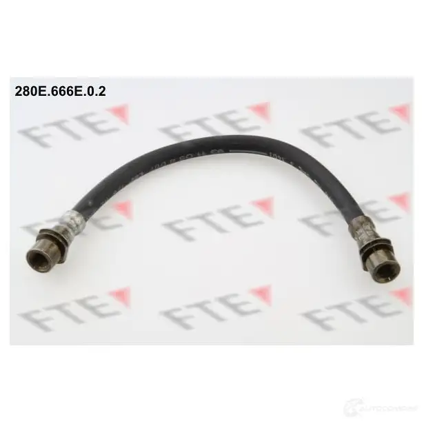 Тормозной шланг FTE 602801 4028569473314 66AC Z 280E.666E.0.2 изображение 0