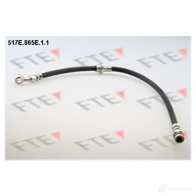 Тормозной шланг FTE 5 LMKTYW 4028569453095 517E.865E.1.1 603471
