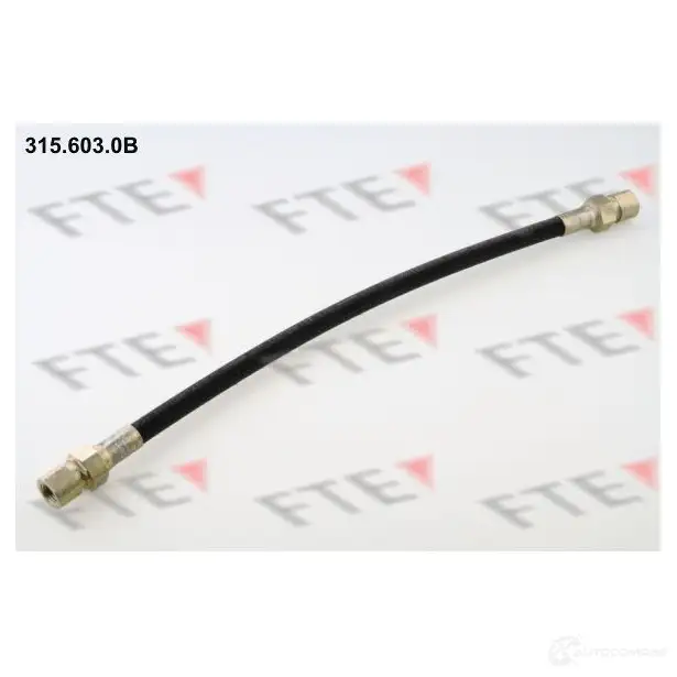 Тормозной шланг FTE 4028569272474 Y CRAHU 315.603.0B 602899
