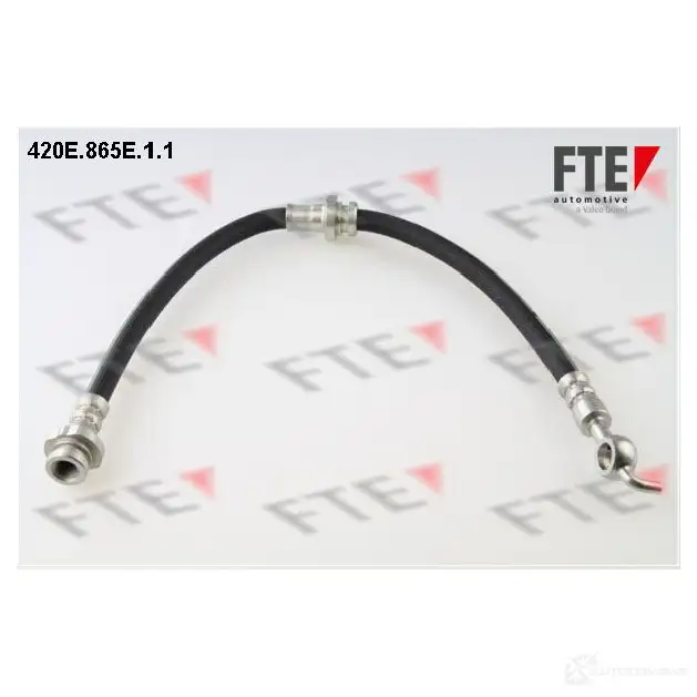 Тормозной шланг FTE 420E.865E.1.1 603203 4028569456027 PB K6K