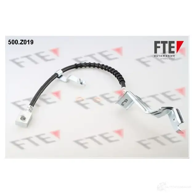Тормозной шланг FTE 500.Z019 UX5NU X 4028569293738 603424