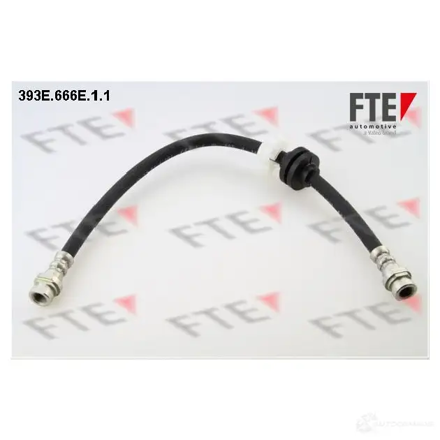 Тормозной шланг FTE 65F 7A 4028569456430 603107 393E.666E.1.1 изображение 0