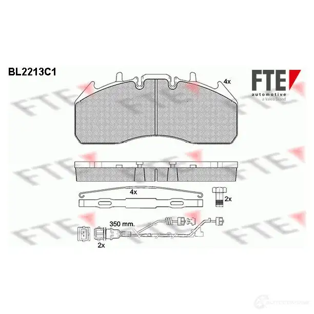 Тормозные колодки дисковые, комплект FTE 605355 29204 2 9174 BL2213C1