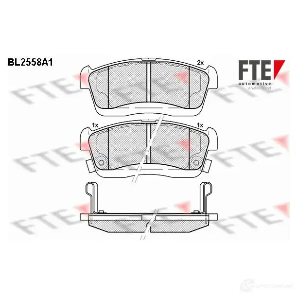 Тормозные колодки дисковые, комплект FTE 25273 BL2558A1 252 62 605730