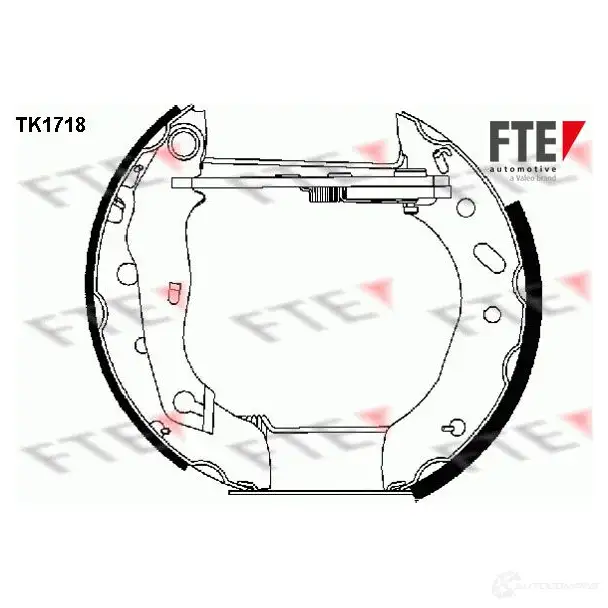 Тормозные колодки FTE VM RG3VX TK1718 616110 4028569326399