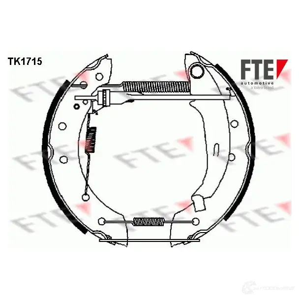 Тормозные колодки FTE CWKI E 4028569326368 TK1715 616107