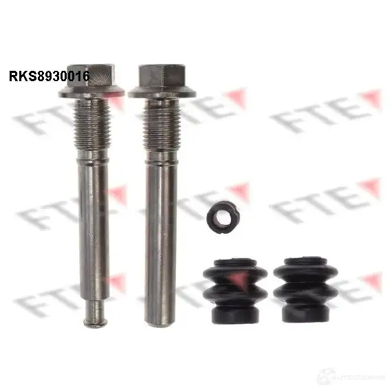 Направляющая суппорта FTE Q1 684 613667 4028569741369 RKS8930016