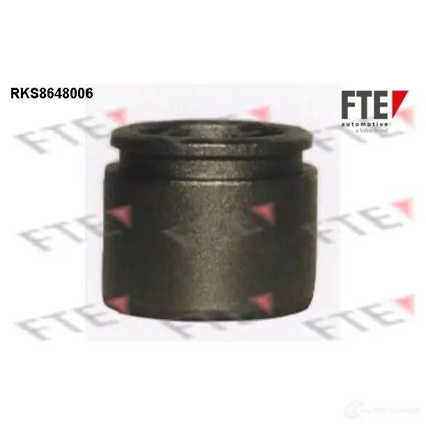 Поршень суппорта FTE O1J TQM3 4028569731247 612810 RKS8648006