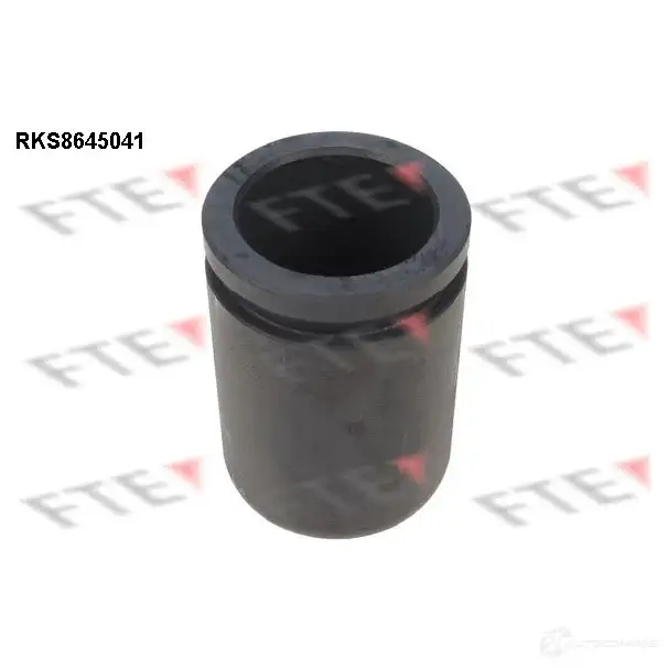 Поршень суппорта FTE 4028569730752 RFSK0 3 612770 RKS8645041