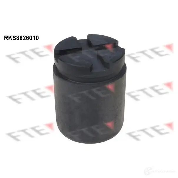 Поршень суппорта FTE 4028569728162 G6PS L 612539 RKS8626010