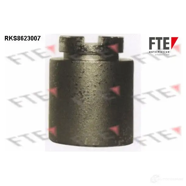 Поршень суппорта FTE 4028569727622 612496 RKS8623007 HRD 6C