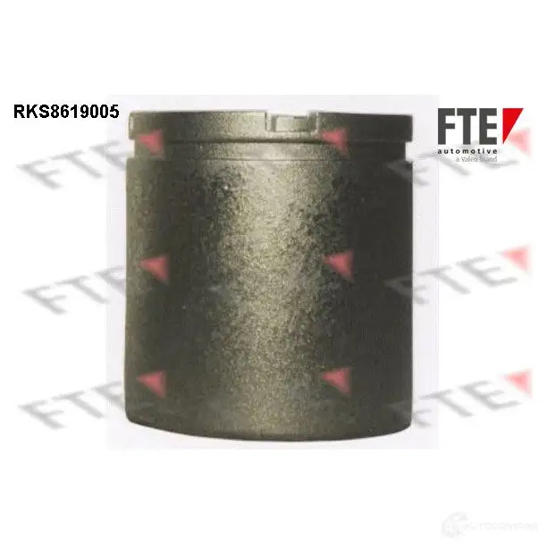 Поршень суппорта FTE 4028569727066 RKS8619005 612451 I HJL0R