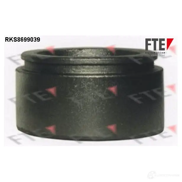 Поршень суппорта FTE RKS8699039 4028569732039 N03TEW G 612875