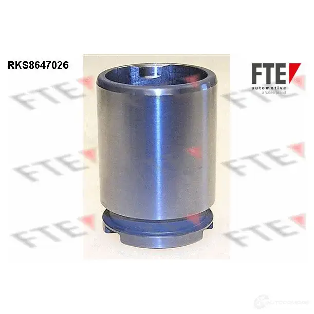 Поршень суппорта FTE 612802 NF UIT 4028569731155 RKS8647026