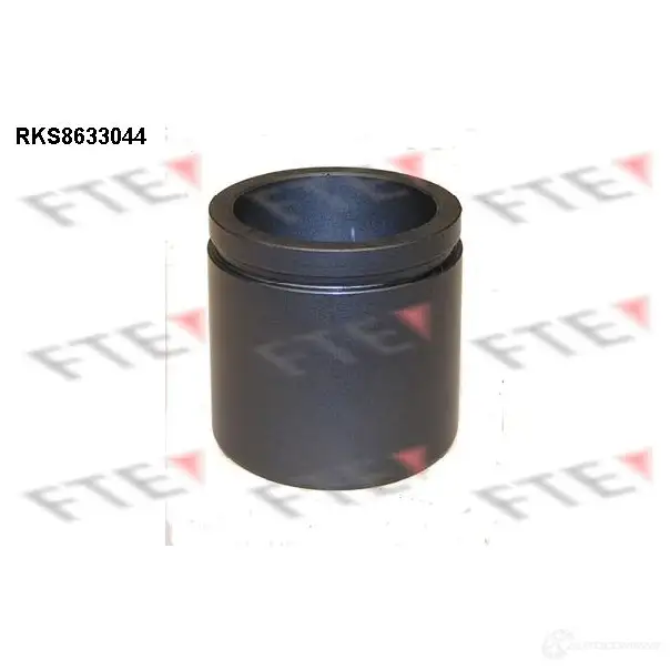 Поршень суппорта FTE 4028569729039 BNEHF 9 612613 RKS8633044