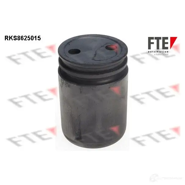 Поршень суппорта FTE 4028569728018 612529 BW6 FB RKS8625015 изображение 0