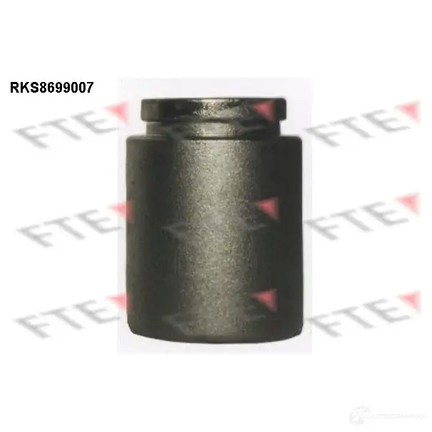 Поршень суппорта FTE AJPA S5 612849 4028569731711 RKS8699007