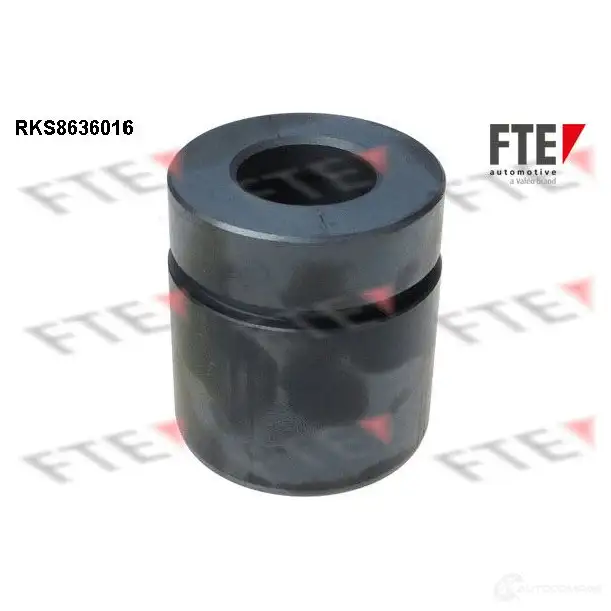 Поршень суппорта FTE 4028569729619 RKS8636016 612668 DFNTH U