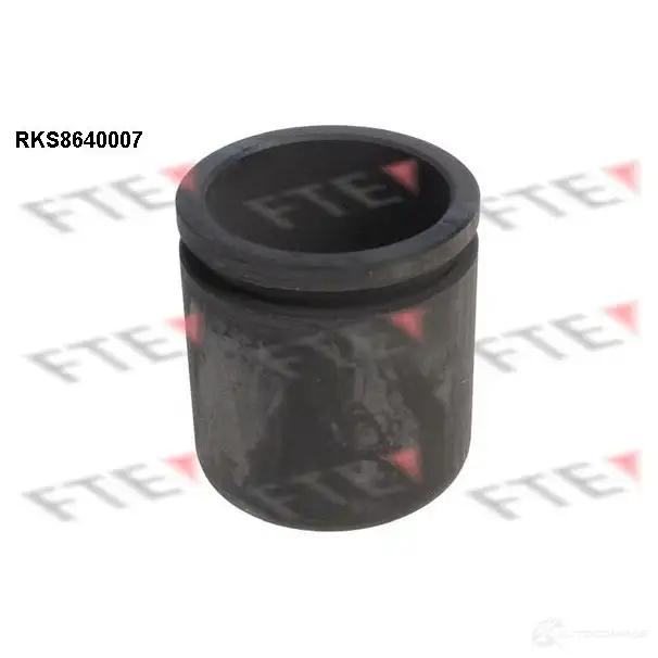 Поршень суппорта FTE 4028569730127 N5 I14 RKS8640007 612712