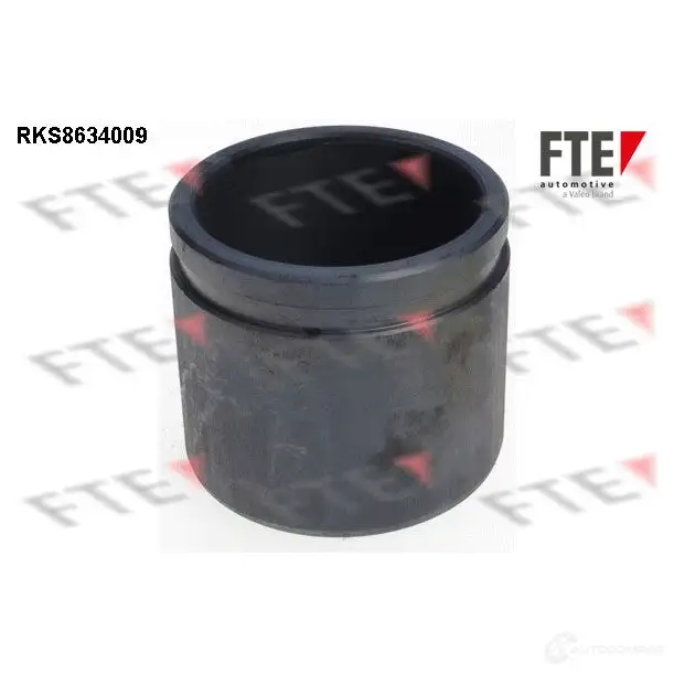 Поршень суппорта FTE PUY EK 4028569729268 RKS8634009 612636