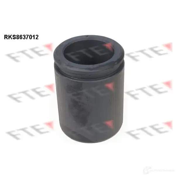 Поршень суппорта FTE 612697 4028569729930 RKS8637012 V0M H3X
