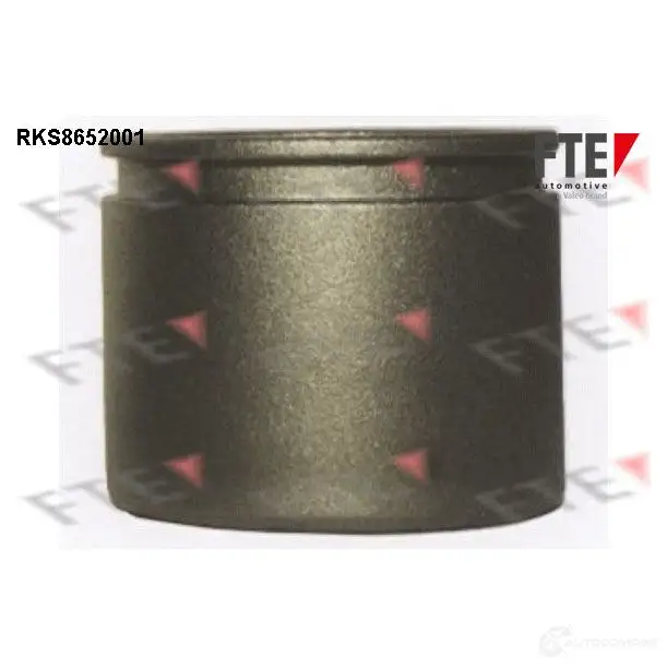 Поршень суппорта FTE 4028569731483 RKS8652001 LQSYBC 3 612833 изображение 0