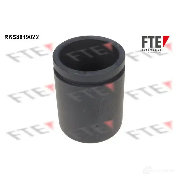Поршень суппорта FTE RKS8619022 4028569727233 612465 JNN9X O